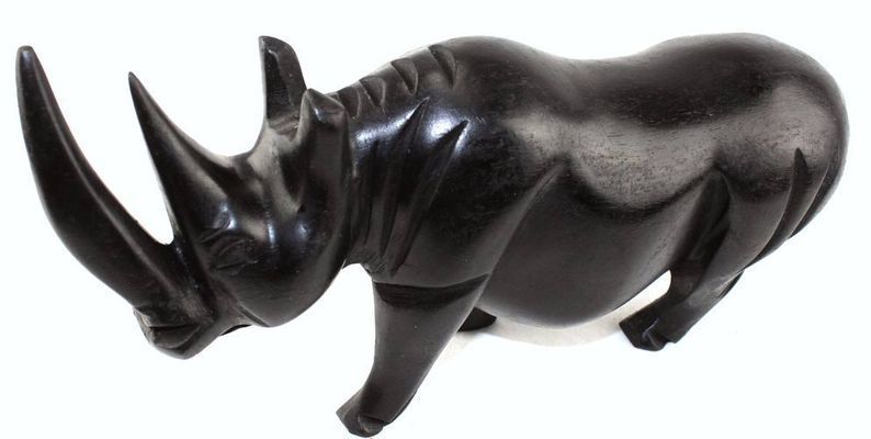 Rhinoceros_0263
