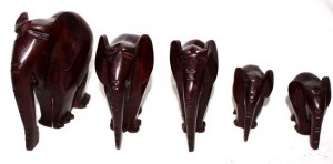 Elephant-serie_0586