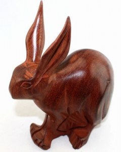 Lapin_8703