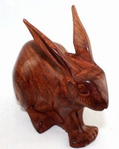Lapin_8710