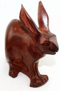 Lapin_8722